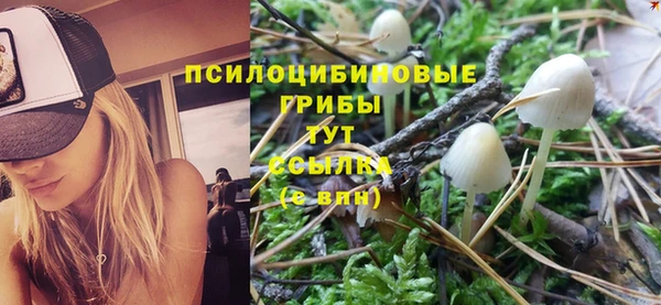 марки nbome Абаза