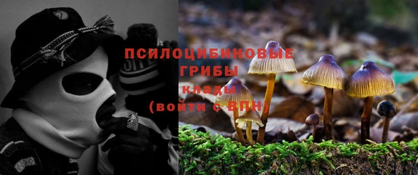 амф Абинск