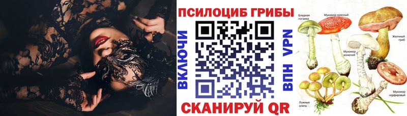 Галлюциногенные грибы Magic Shrooms omg вход дарк нет формула Власиха